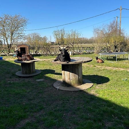 La Ferme Du Paradis Merris Esterno foto