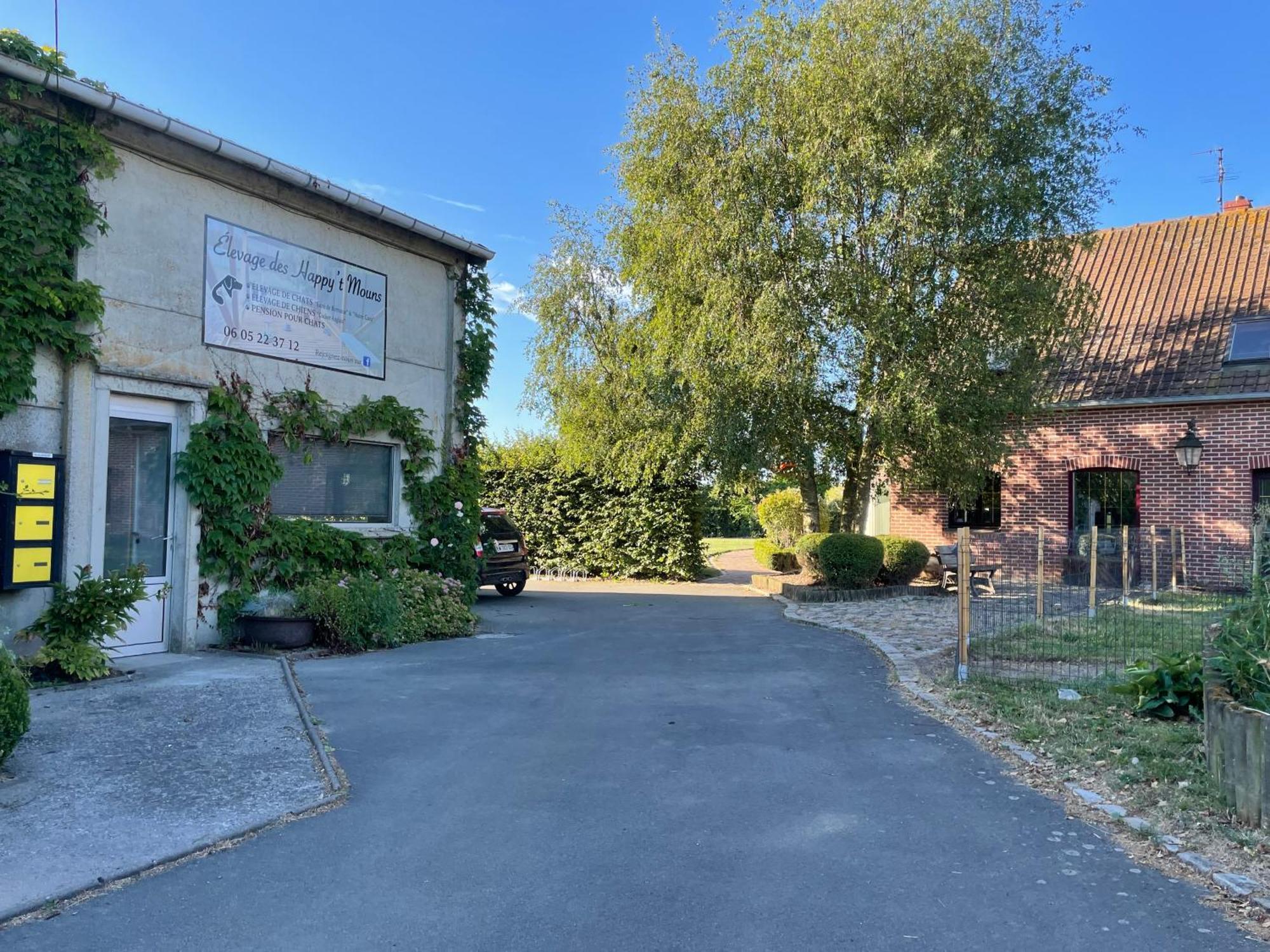 La Ferme Du Paradis Merris Esterno foto