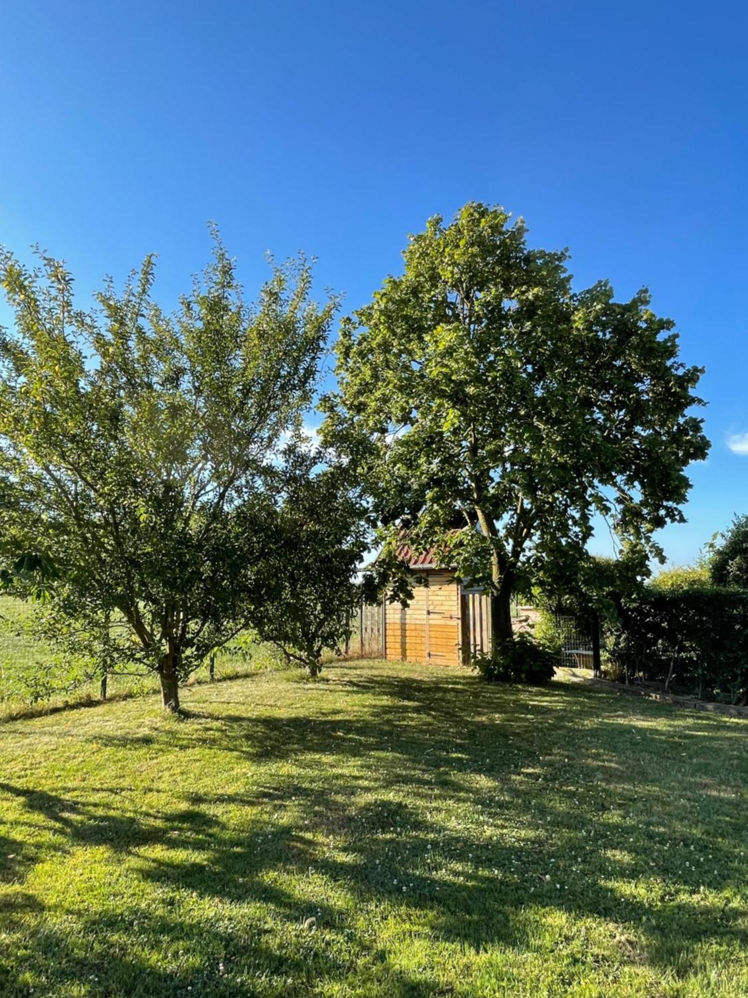 La Ferme Du Paradis Merris Esterno foto