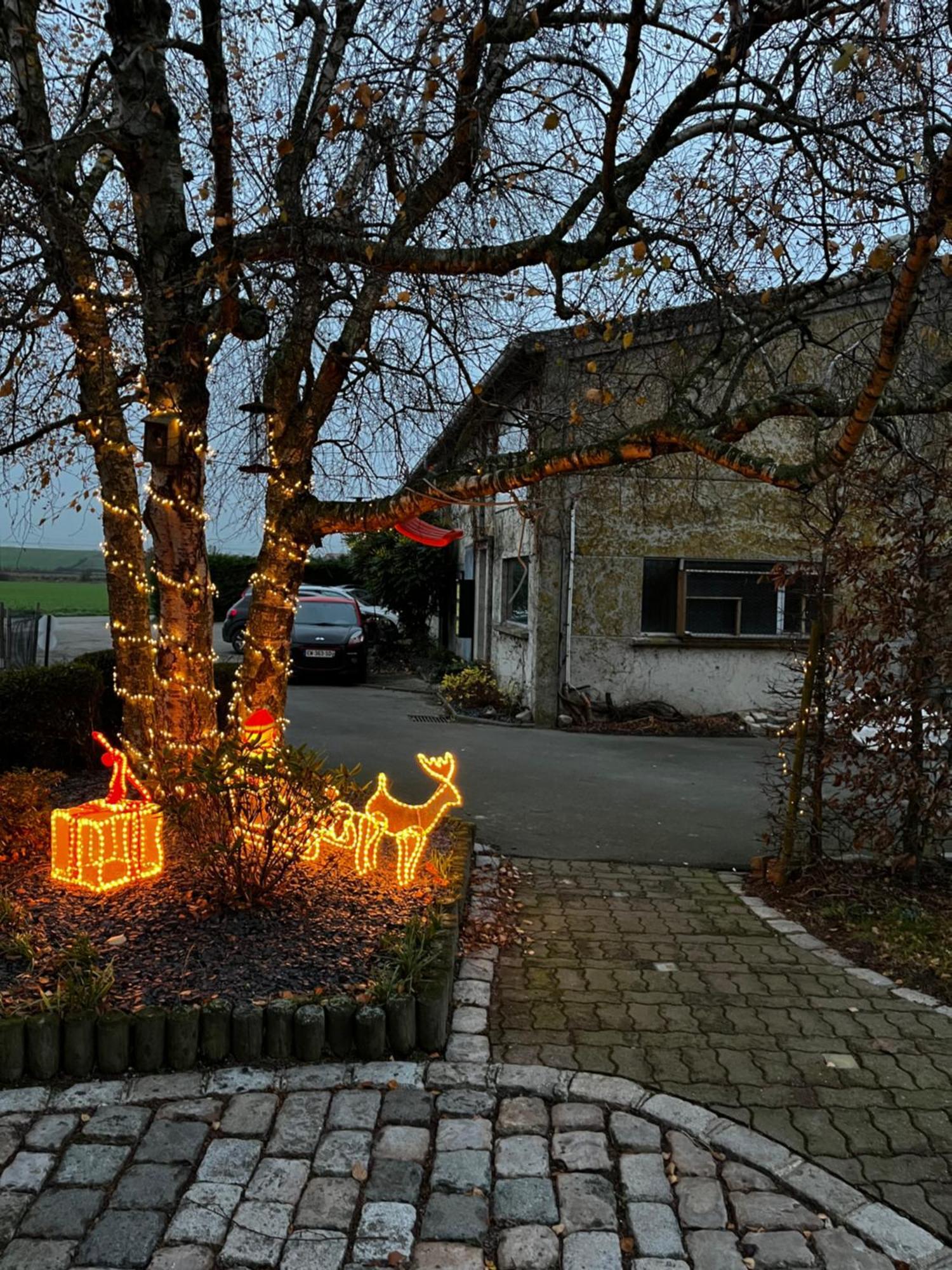 La Ferme Du Paradis Merris Esterno foto
