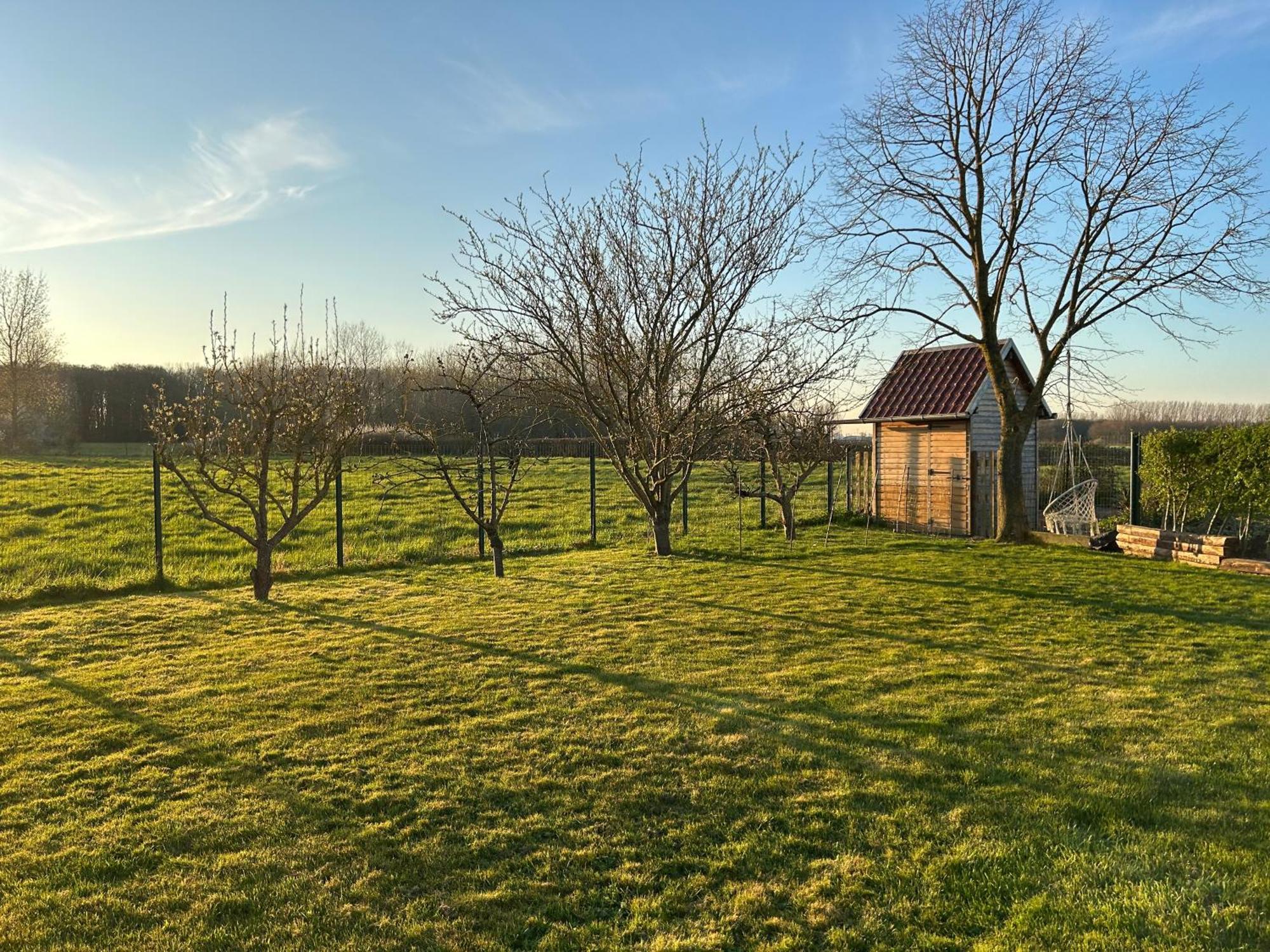 La Ferme Du Paradis Merris Esterno foto